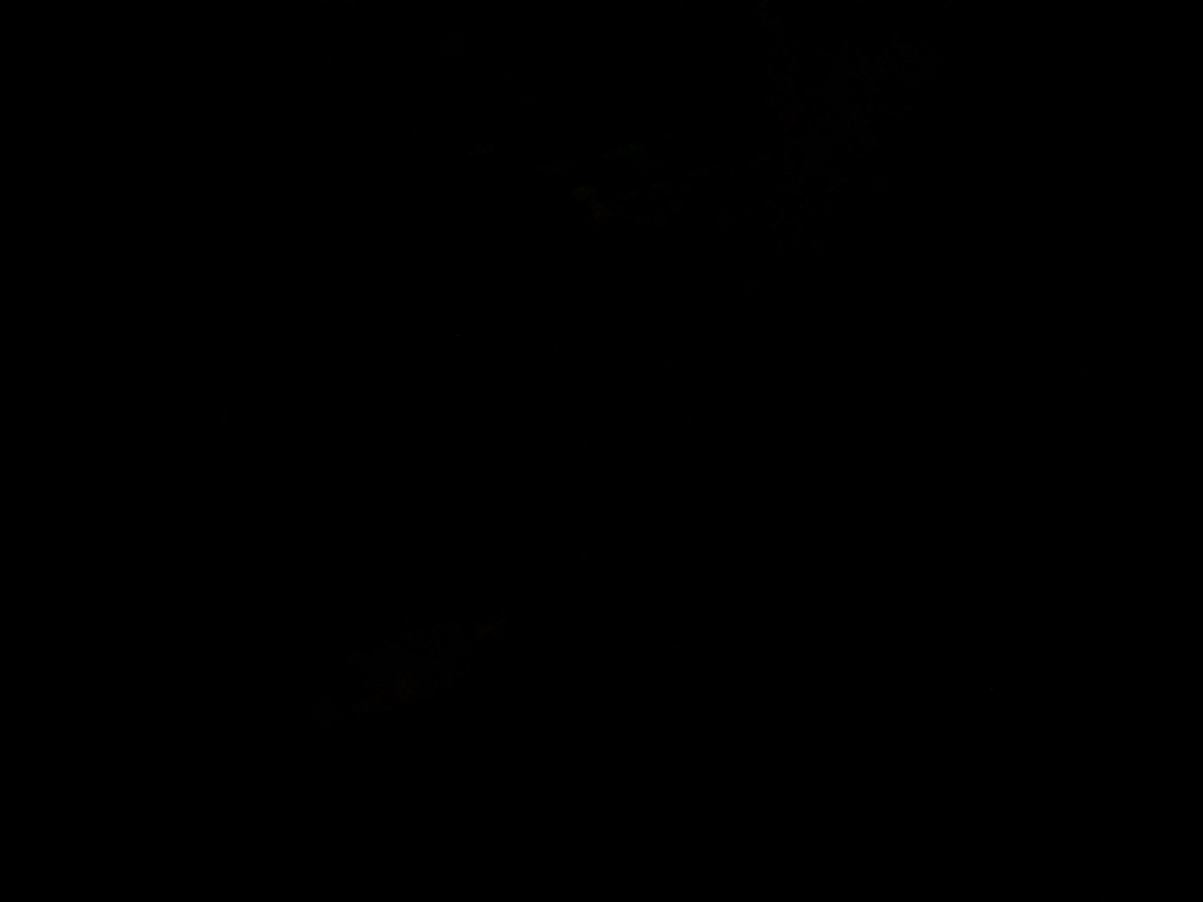 Invitation Banner