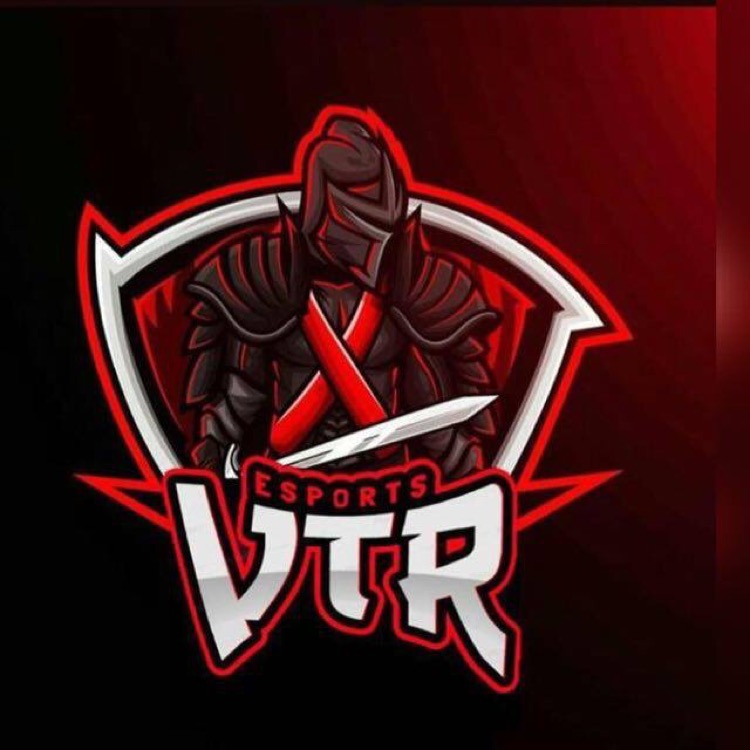 VTResports1