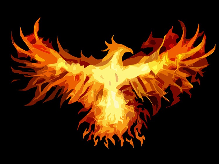 Phoenix Rising