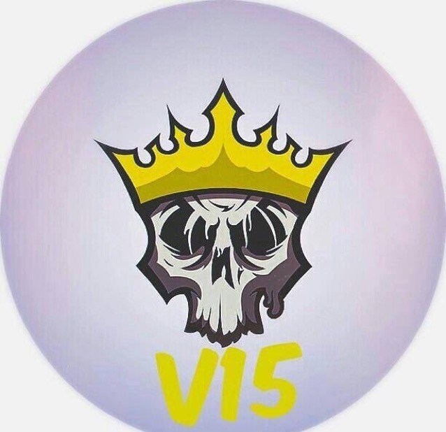 TeamV15