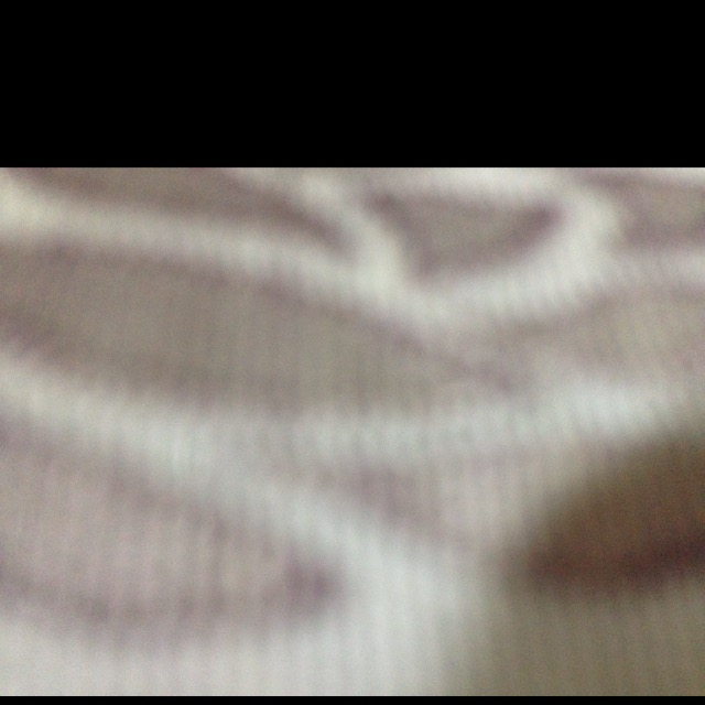 disk 