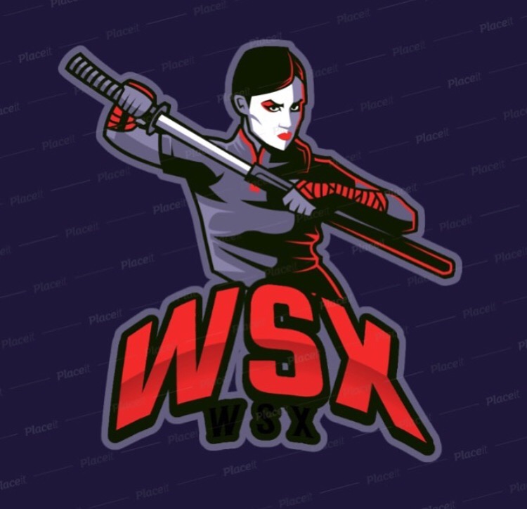 wsxesports