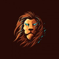 LeonTeam