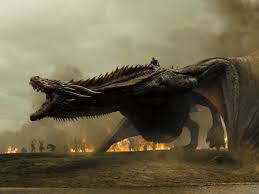 dragons
