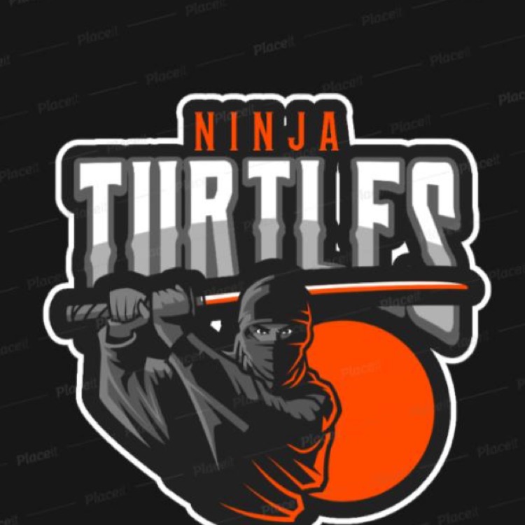 TEAM NINJA Turtles 