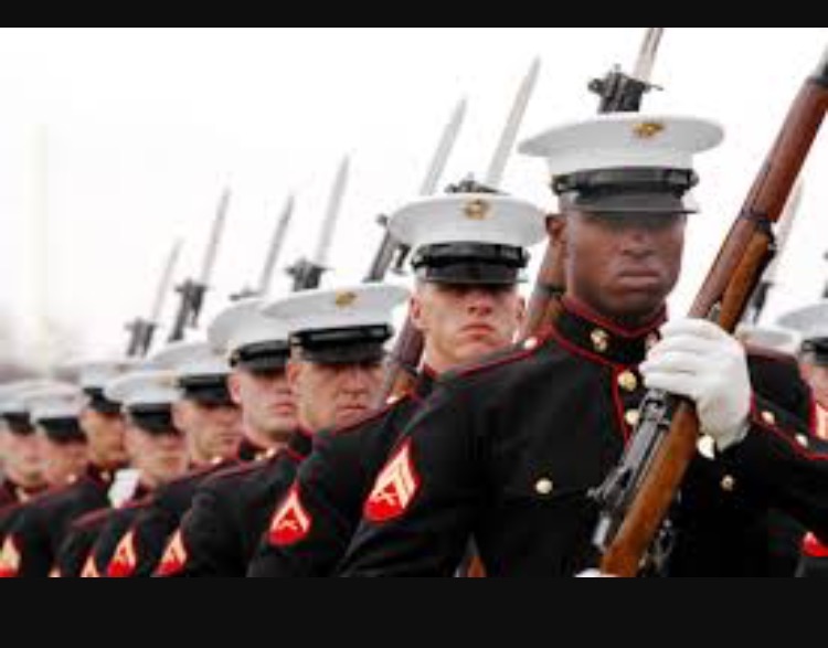 Mad marines