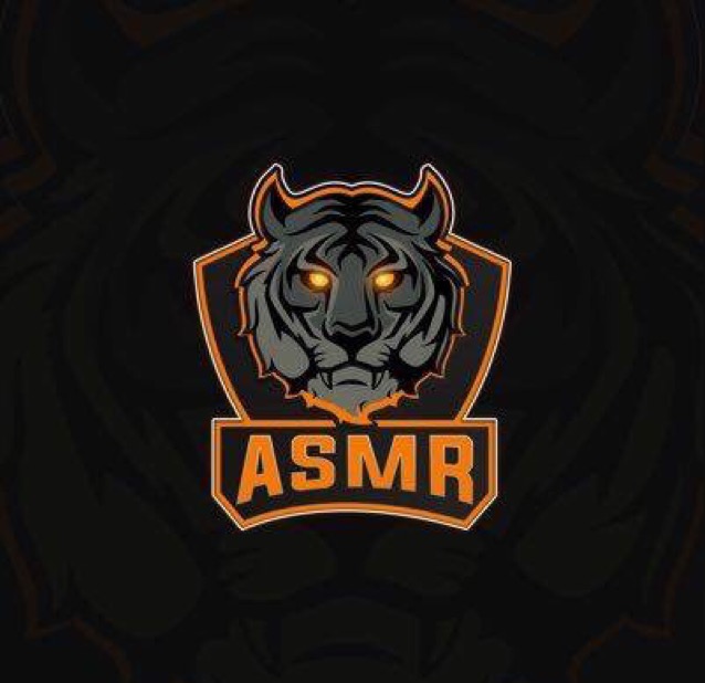 ASMReSports4