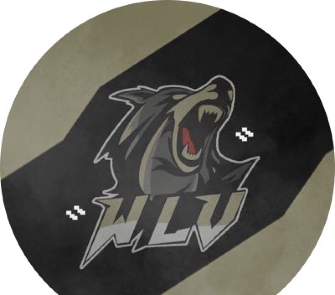 ViolentWolF