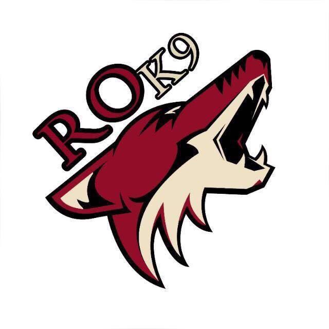 Rook