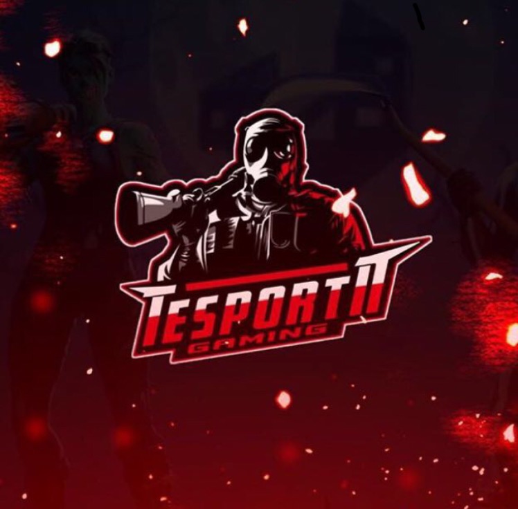 TesportN