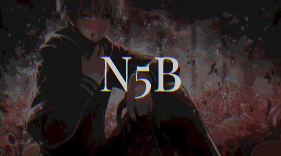 iN5B