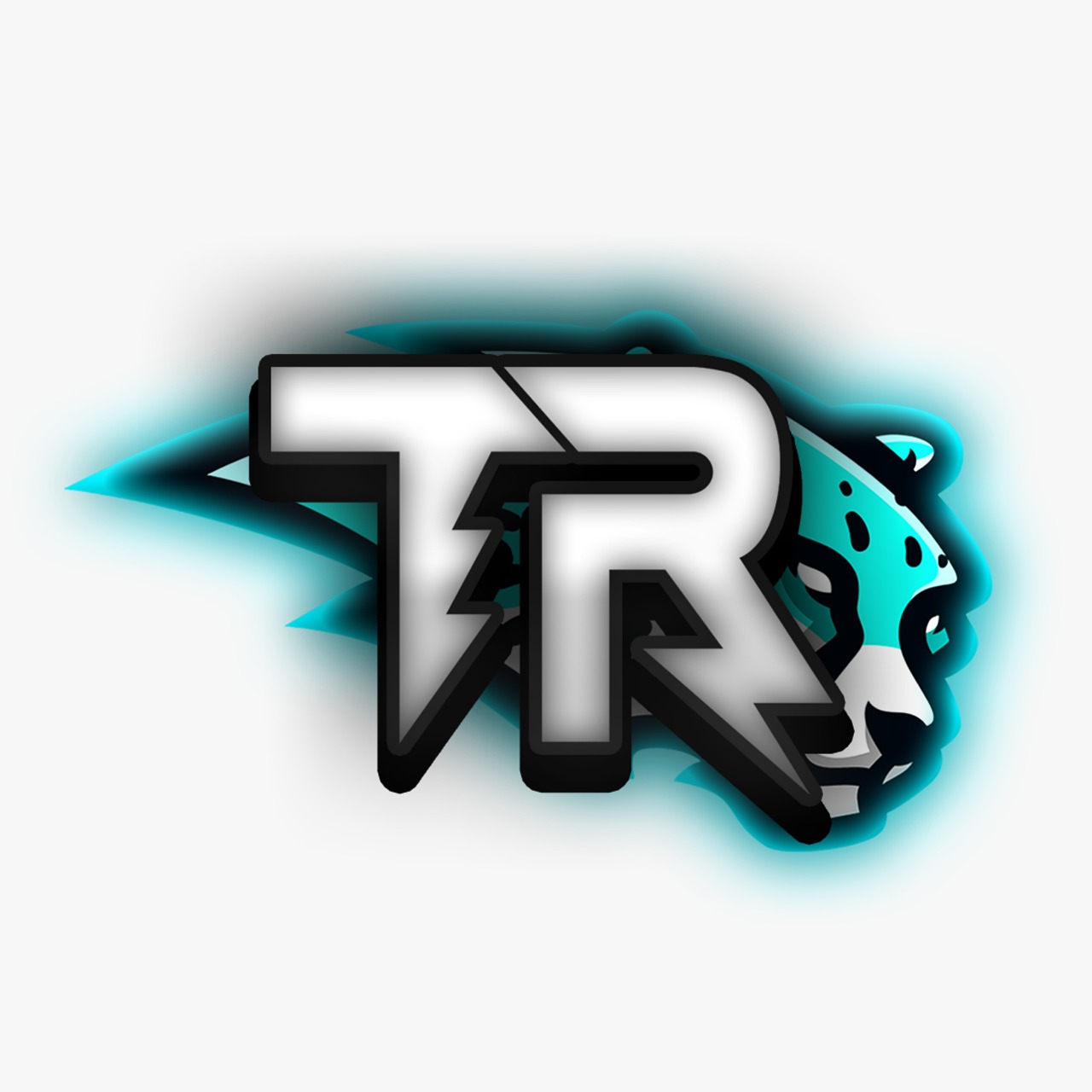 Natus Vincere