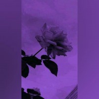 Invitation Banner