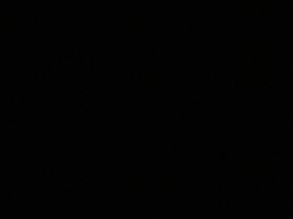 TLight