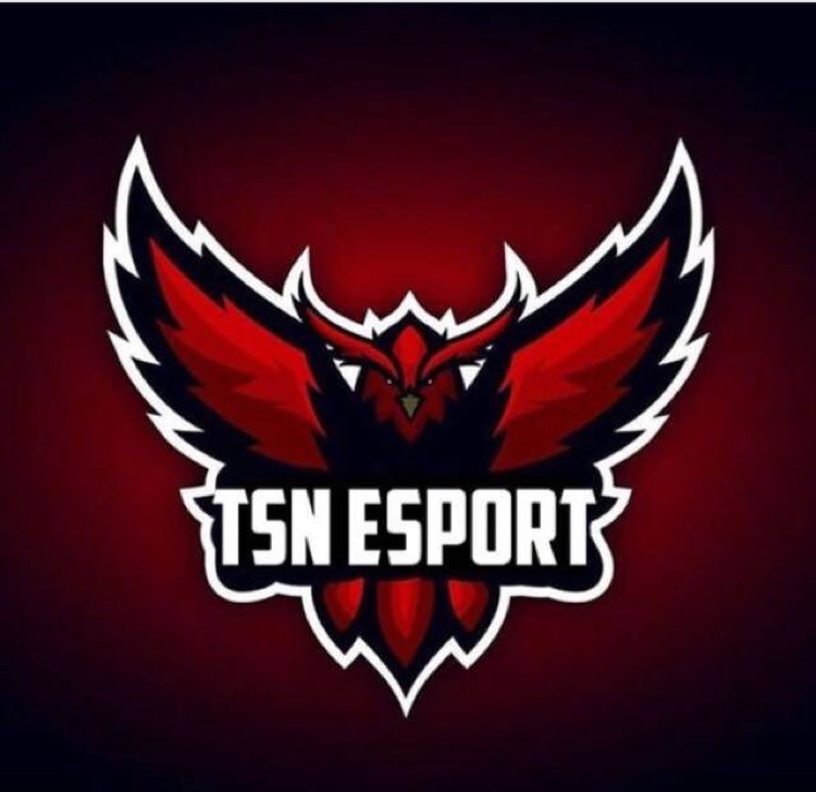 TsN esport1