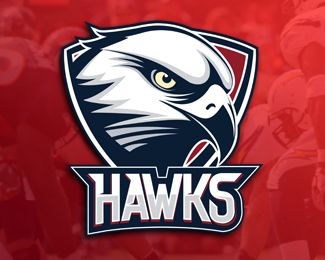 HAWK TEAM