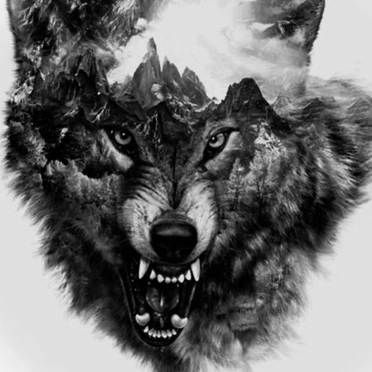 Dark Wolves eSports