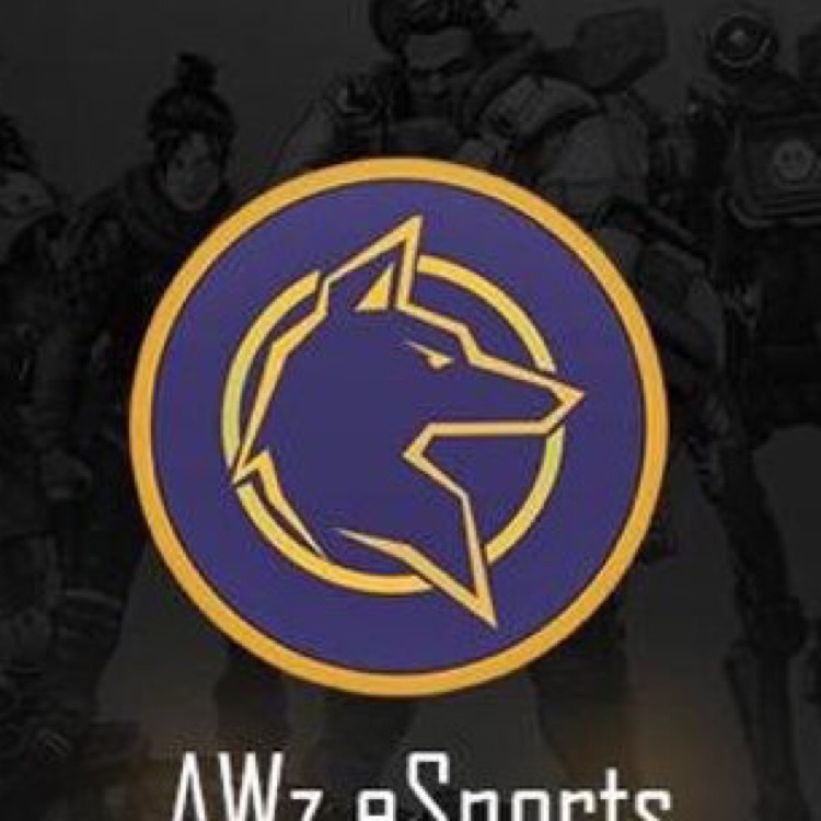 AWzEsports0