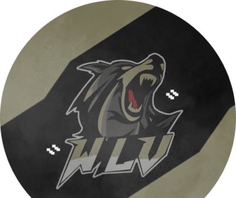 qWLv