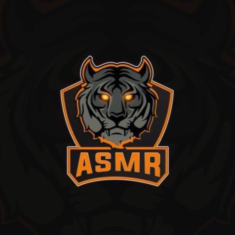 ASMRTeam