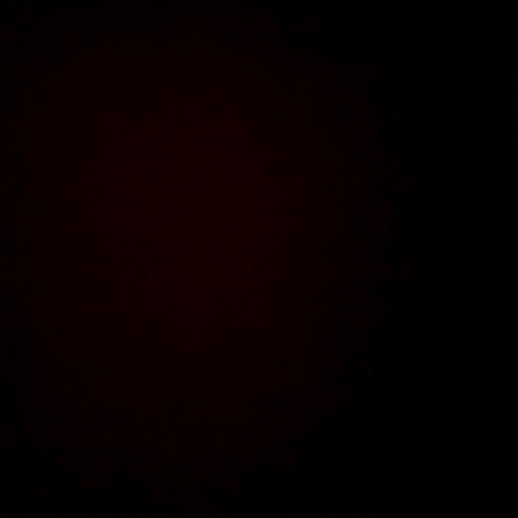 Invitation Banner