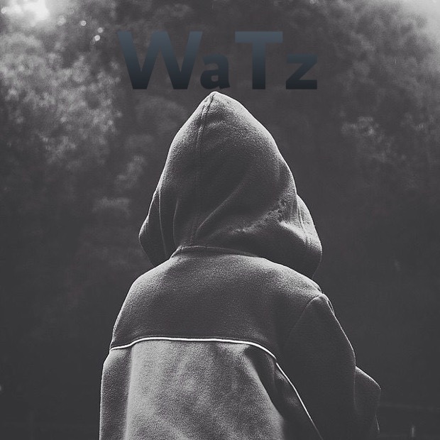 TeamofWaRz