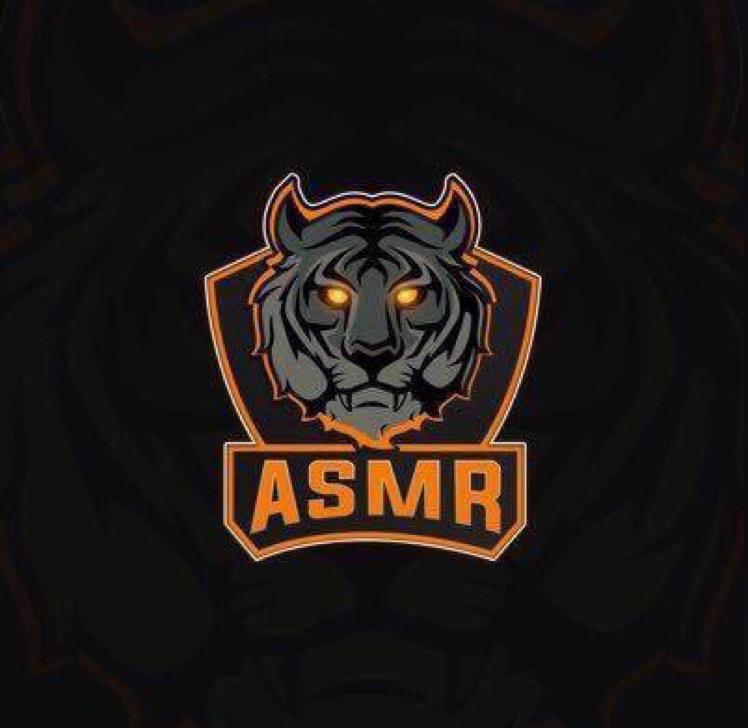 ASMReSports 6