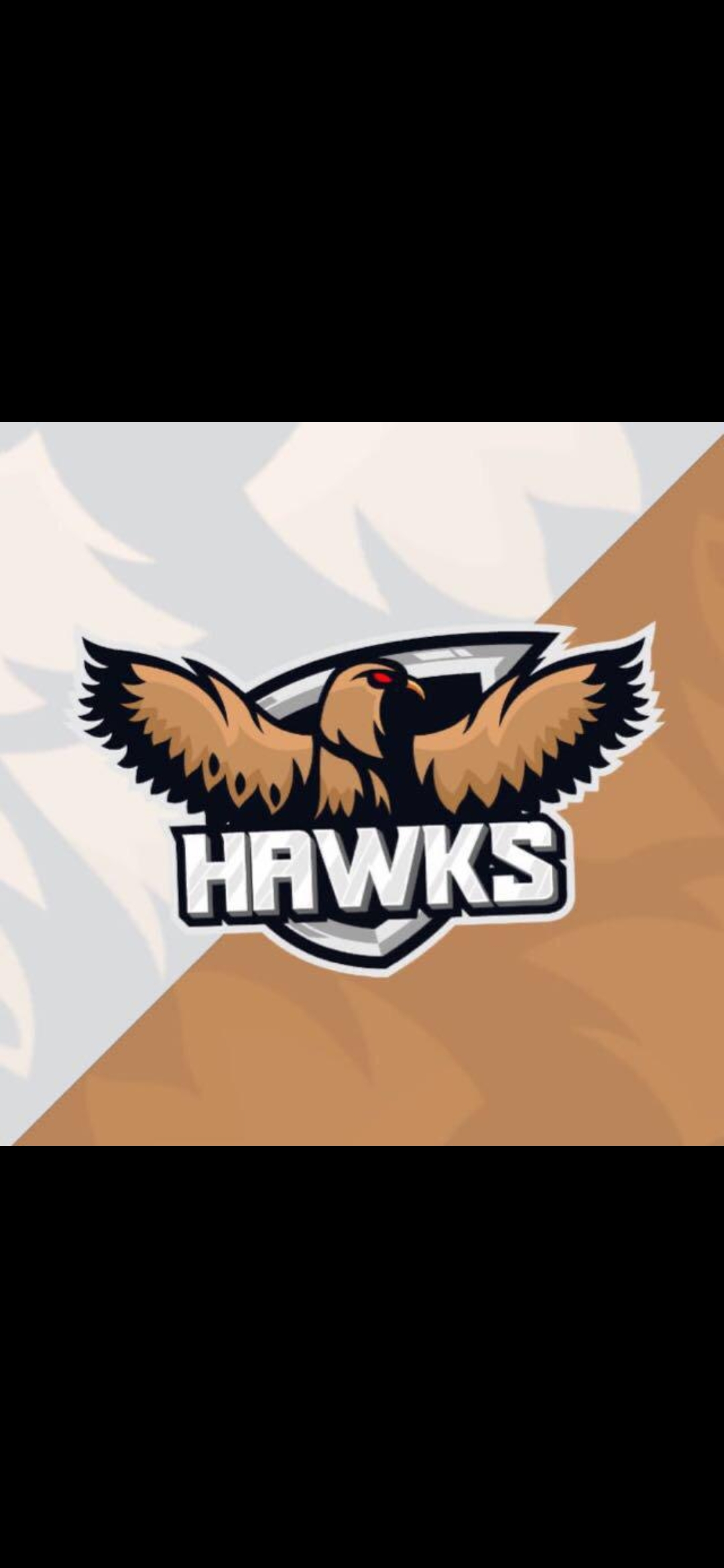 Hawks eSports FN 6