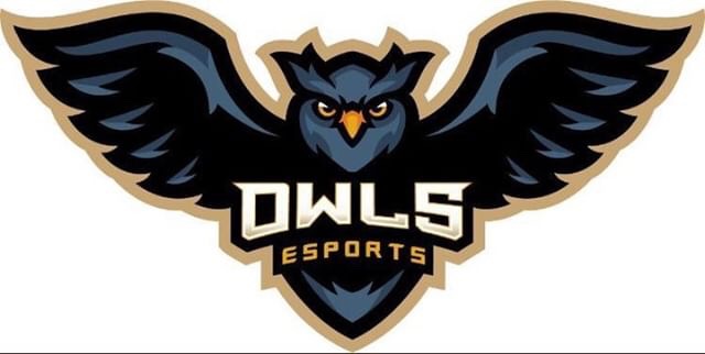 OWL20
