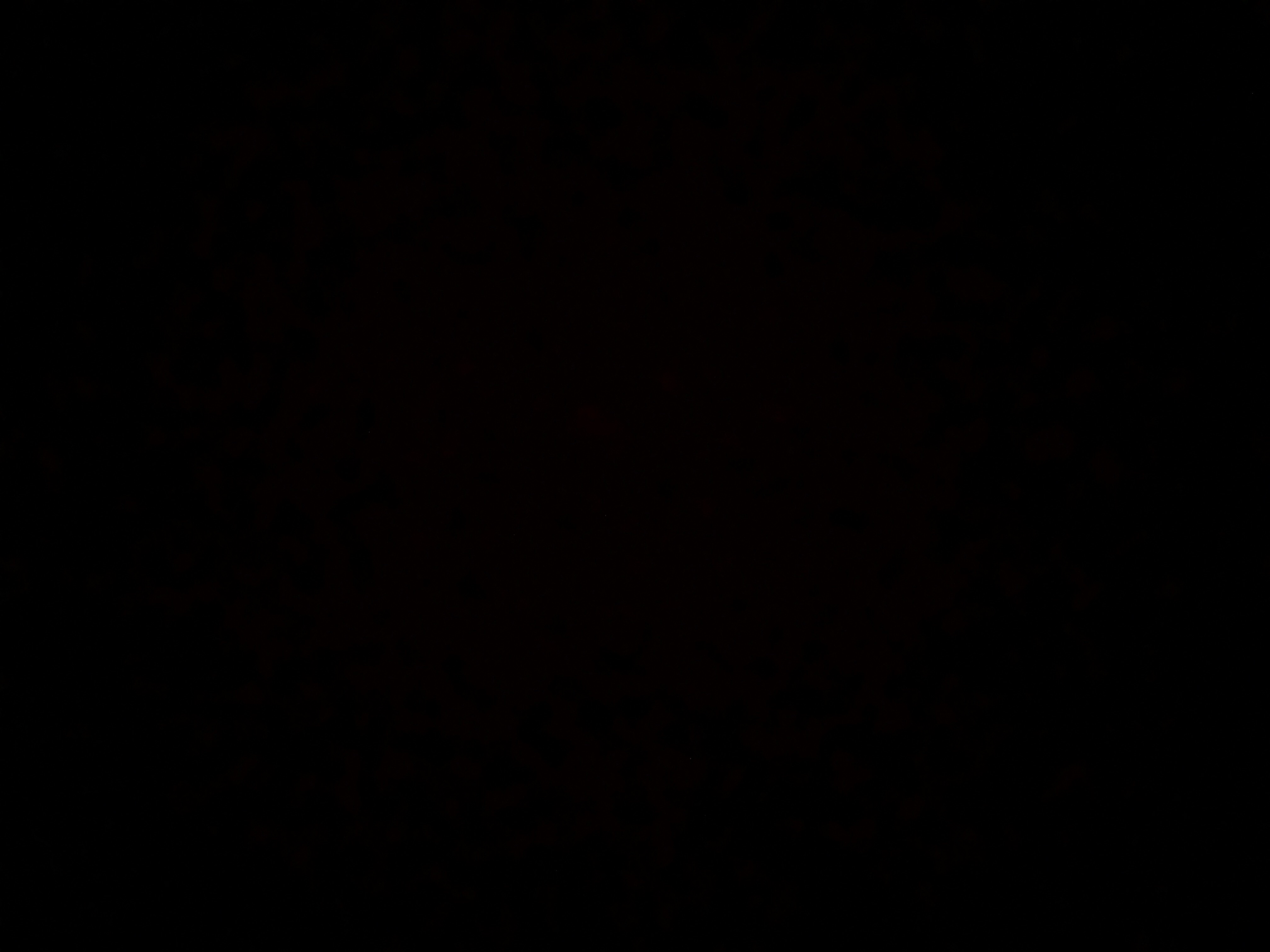 Invitation Banner