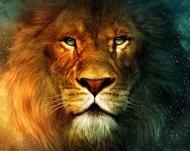 THELioN