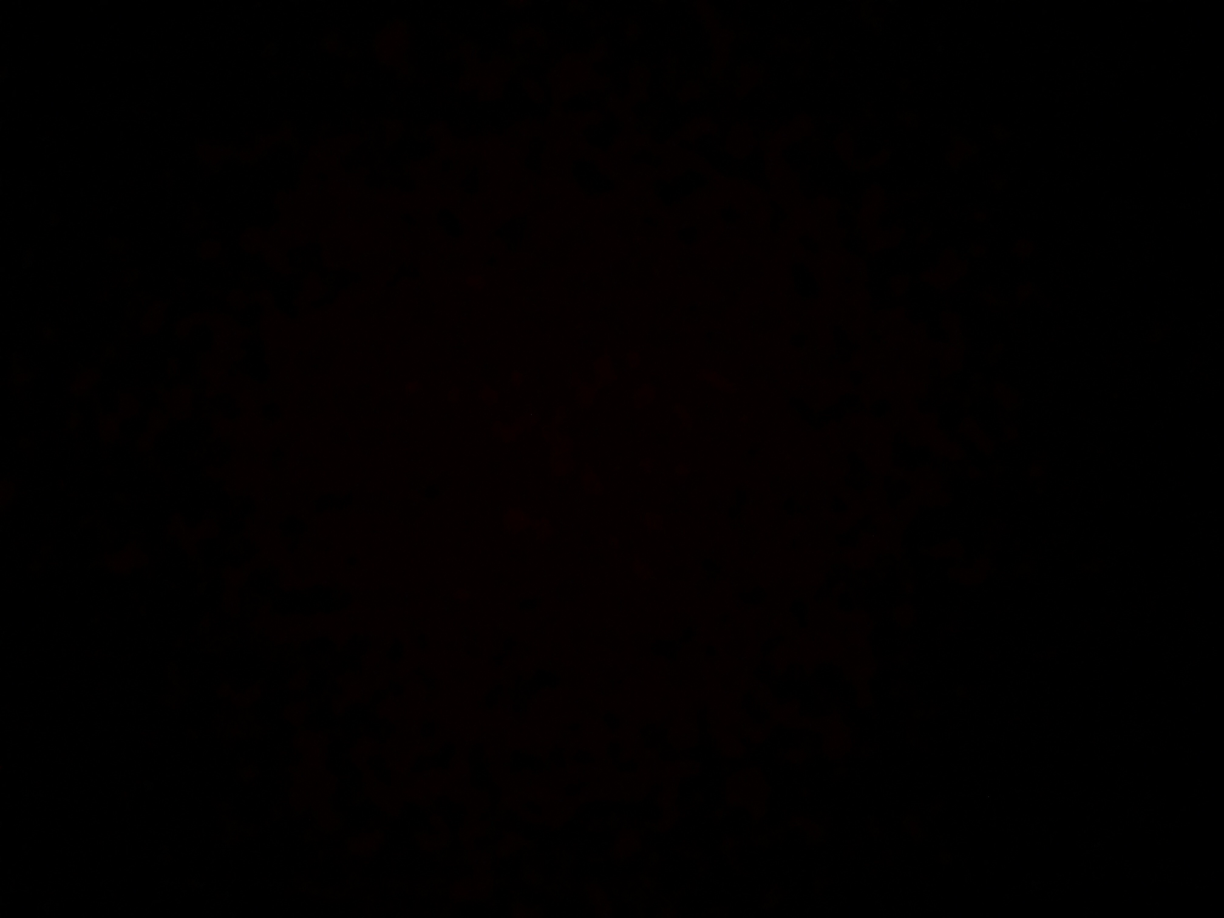 Invitation Banner