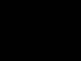 Invitation Banner