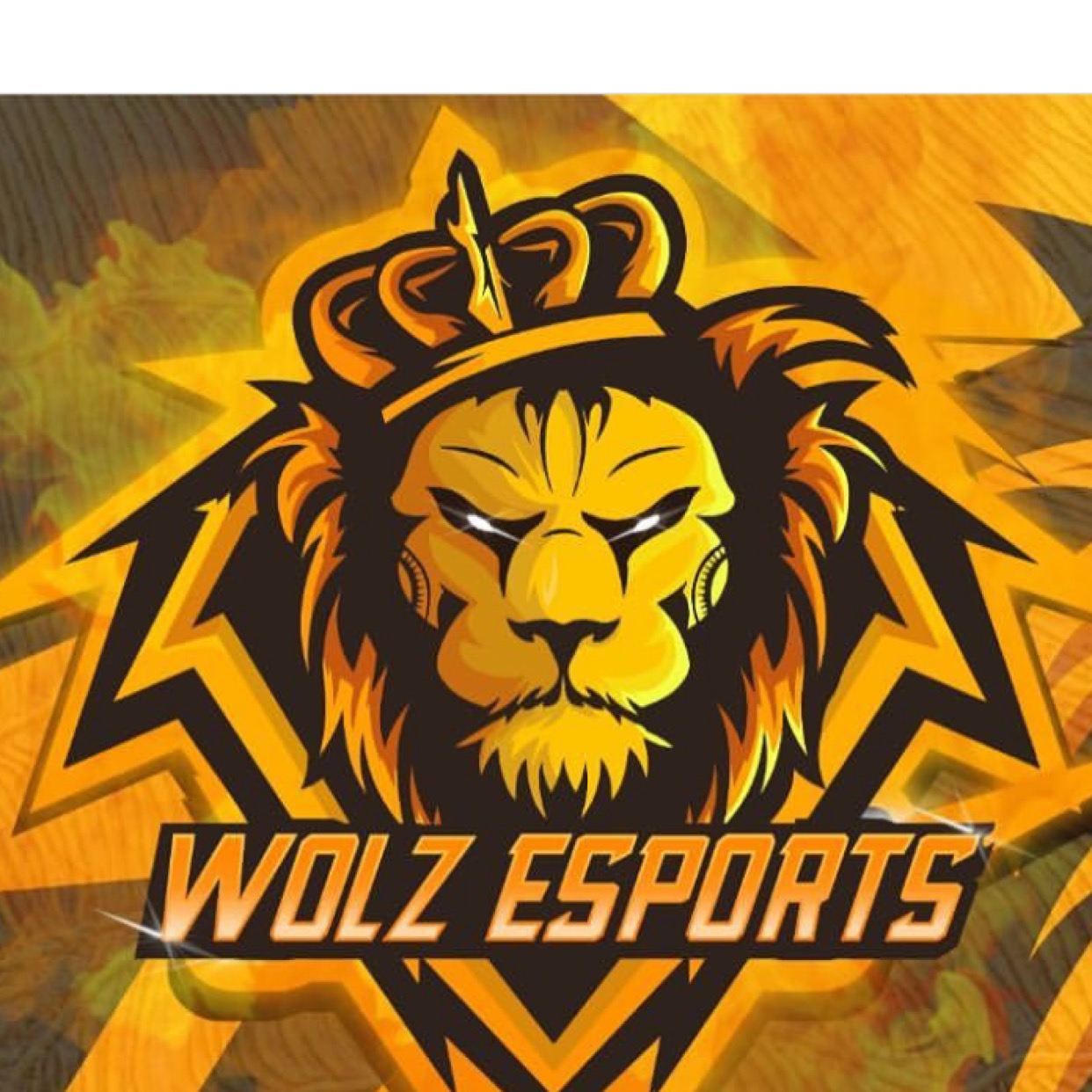 wolz-Esports9