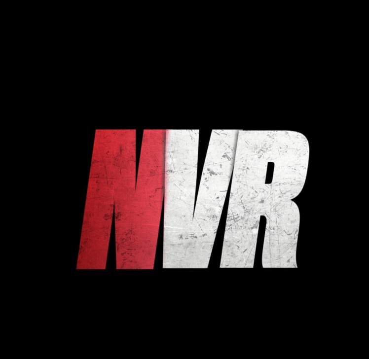 N2vResports