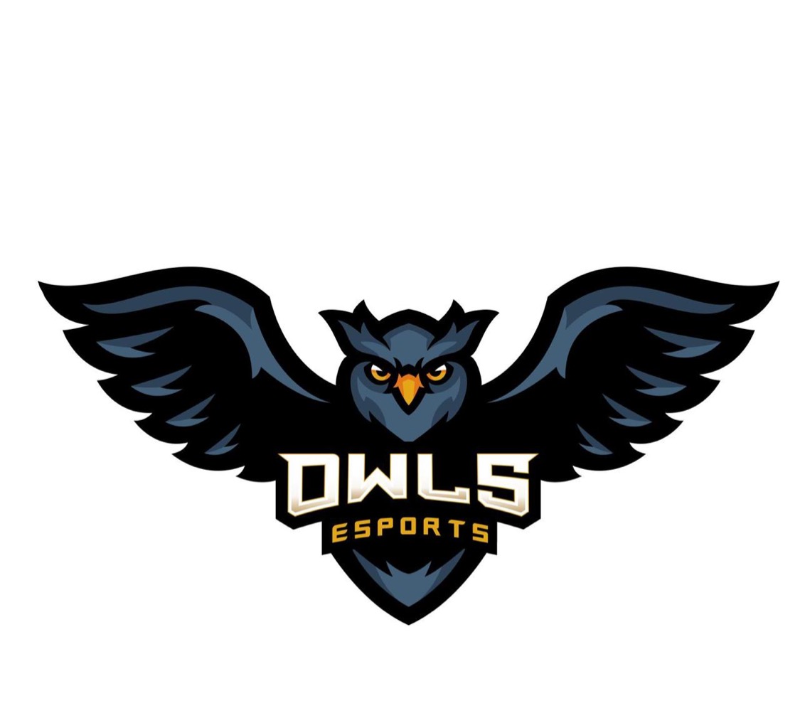 OWL*