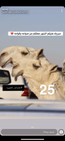 Invitation Banner