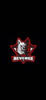 Ready For Revenge
