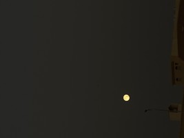 Invitation Banner