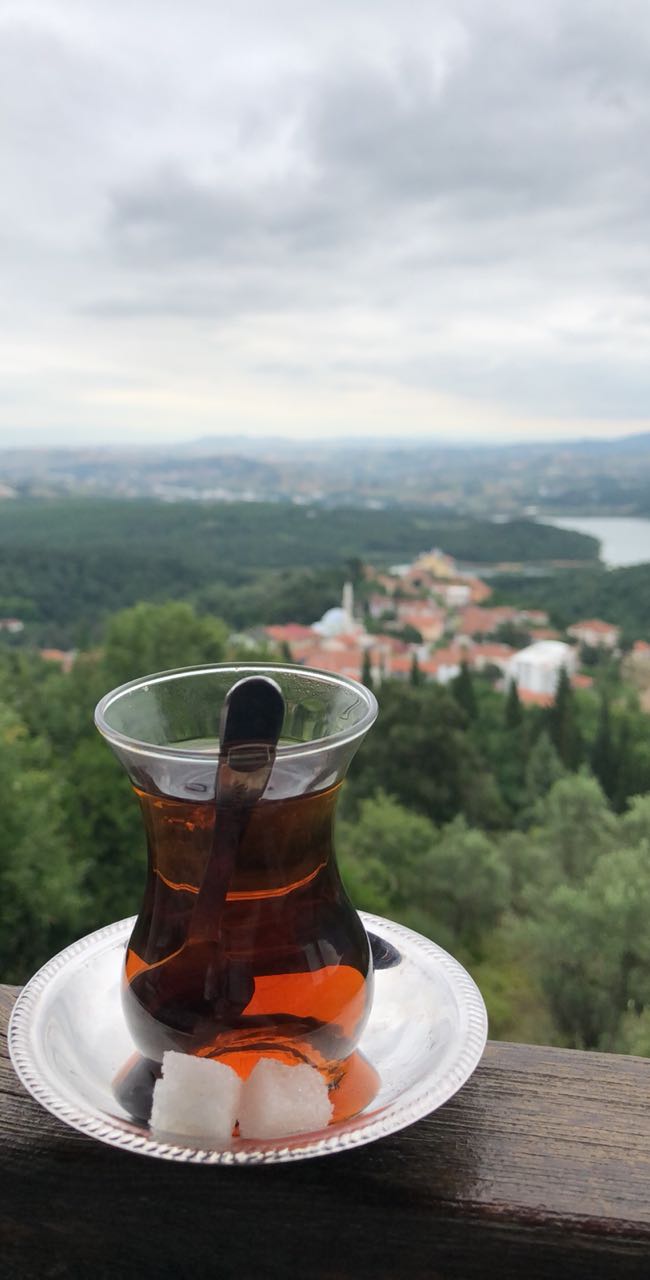 ZFOZ
