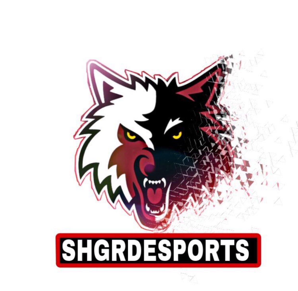 shgrd.esports