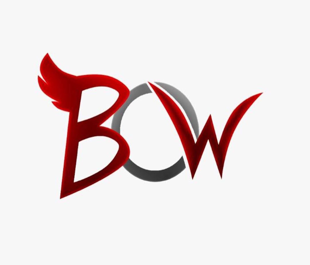 bow.esports10