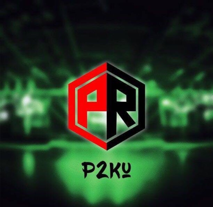 P2kuesports
