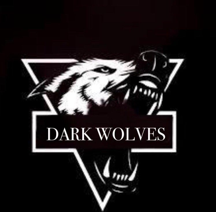 DarkWolves1