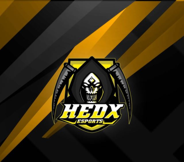 HEDX esports
