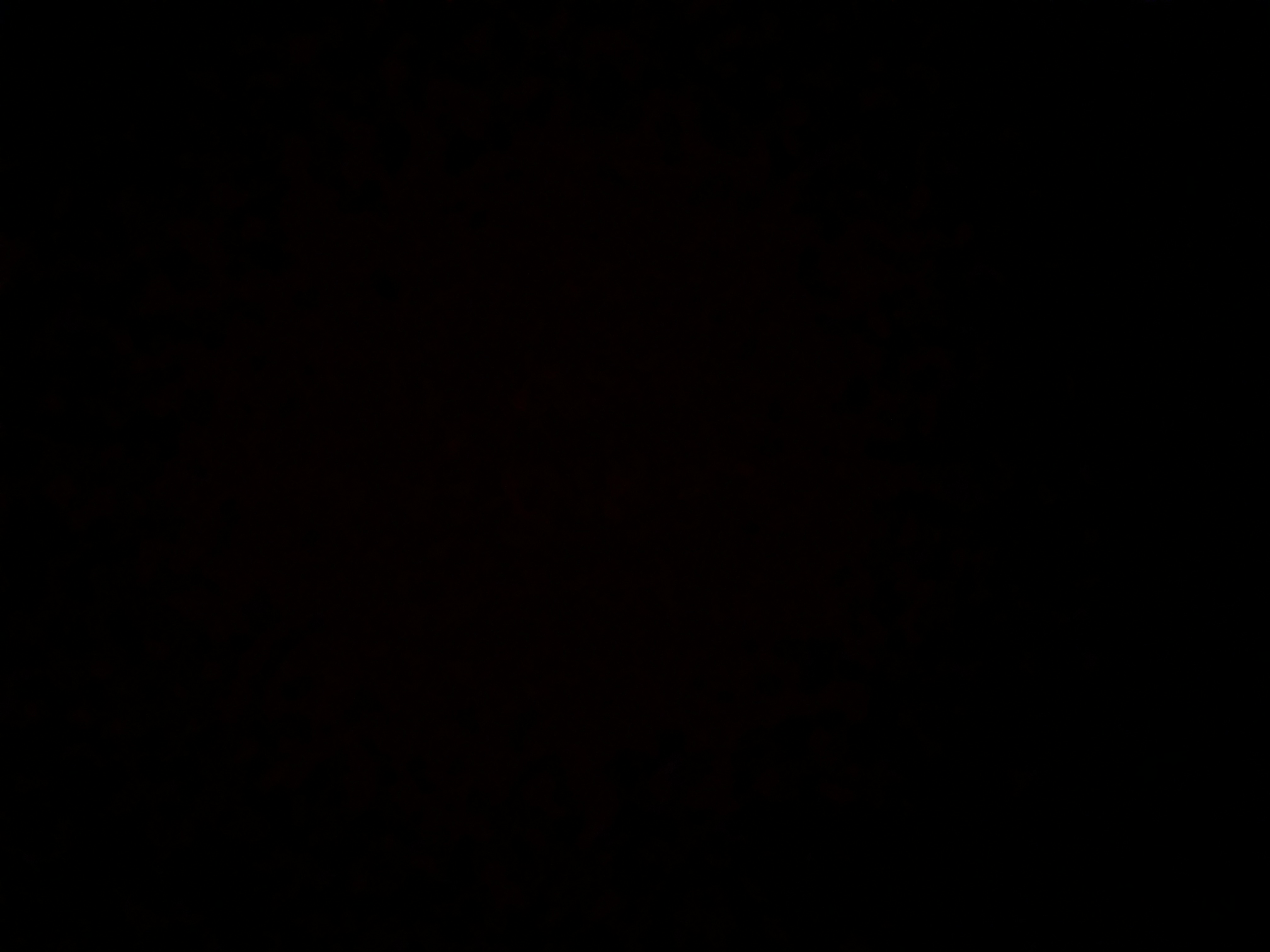 Invitation Banner