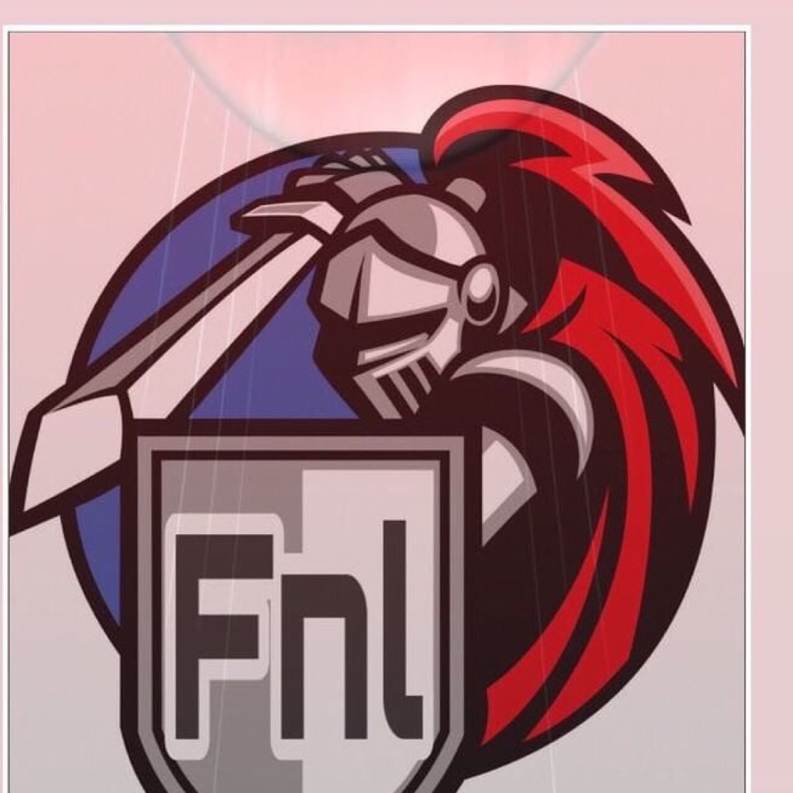 FNL Team