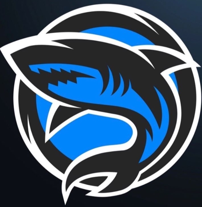 shark_gaming_gaming