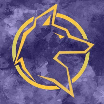 AWzeSports5