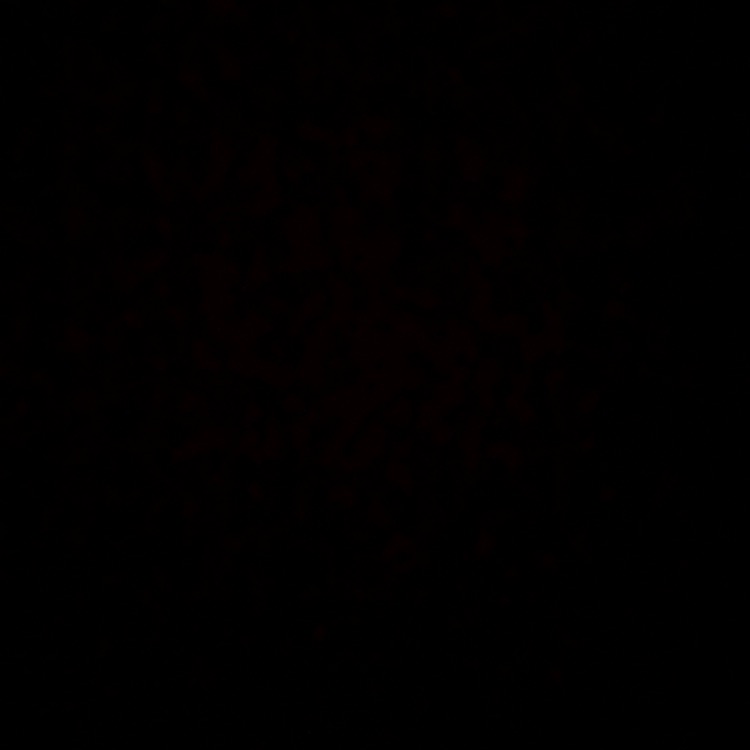 Invitation Banner